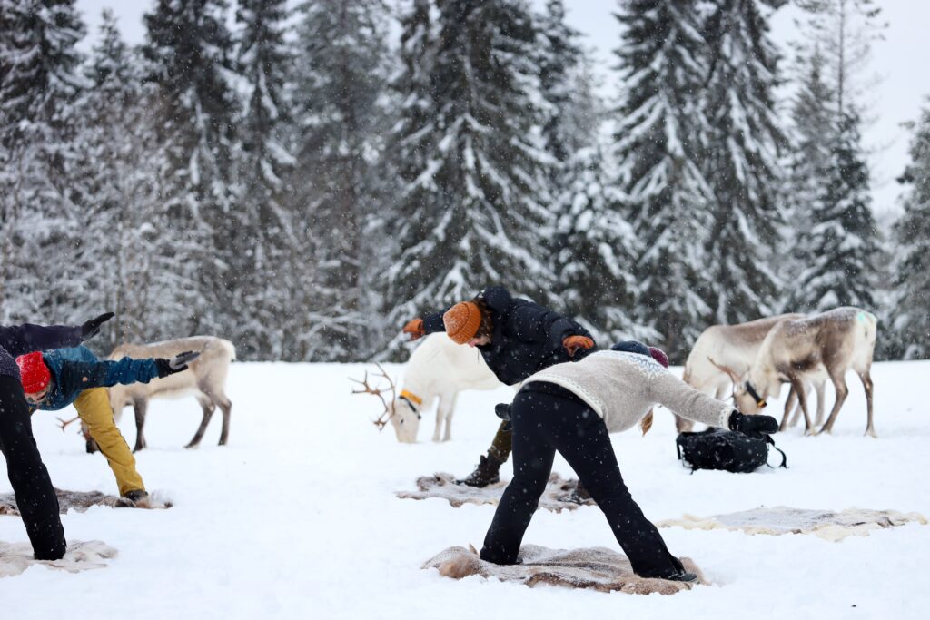 Yoga am Polarkreis